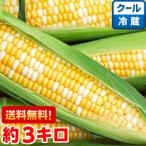 静岡県産 朝どり とうもろこし 甘々娘(かんかんむすめ)約3kg(クール便)
