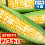 静岡県産 朝どり とうもろこし 甘々娘（かんかんむすめ）約3ｋｇ（クール便）