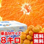  подарок по случаю конца года подарок три ke день мандарин (. сырой ) super товар M размер 8kg