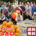  подарок по случаю конца года подарок три ke день мандарин (. сырой ) превосходящий товар M размер 4kg