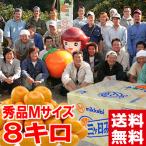  подарок по случаю конца года подарок три ke день мандарин (. сырой ) превосходящий товар M размер 8kg