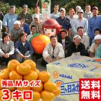  подарок по случаю конца года подарок три ke день мандарин (. сырой ) превосходящий товар M размер 3kg