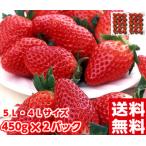 大粒章姫(あきひめ)いちご450g×2
