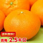 ショッピング甘平 愛媛県産 甘平（かんぺい） 青秀2.5ｋｇ