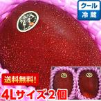 ショッピングマンゴー 宮崎県産 太陽のタマゴ 4Lサイズ２個