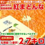 お歳暮 ギフト 愛媛県産 紅まどんな 丸2.7ｋｇ