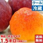 山梨県産 サマーエンジェル 秀品 中玉サイズ約1.5kg