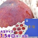 山梨県産 貴陽（きよう） 秀品 大玉サイズ 約1.5kg