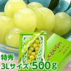 山梨県産ハウスシャインマスカット 匠 500g