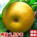 ...... вода груша 2.5kg