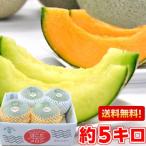 茨城県鉾田産 大玉メロン 優品3L〜2Ｌサイズ 約5kg（4〜5個）