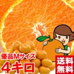  подарок по случаю конца года подарок три ke день мандарин (. сырой ) super товар M размер 4kg