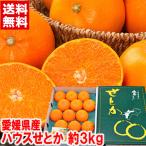 ショッピングデコポン 愛媛県産 ハウスせとか 〇秀Lサイズ 約3kg