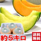 ショッピングメロン 茨城県鉾田産 超大玉メロン 優品4Lサイズ 4.5kg（3個）