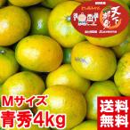 静岡県産 ゆら早生みかん 青秀Mサイズ 4kg