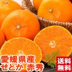  Ehime префектура производство . или красный превосходящий 2.5kg