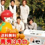  подарок по случаю конца года подарок Shizuoka префектура производство ..... три ke день мандарин сердце синий превосходящий S размер 3kg