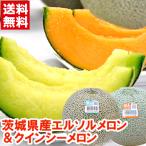 茨城県鉾田産 エルソルメロン＆クインシーメロン 秀品5Lサイズ2個