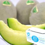 茨城県鉾田産 イバラキングメロン 優品3L・2Ｌサイズ（4〜5個）