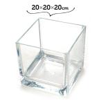 ショッピングテラリウム テラリウム フラワーベース 花瓶 おしゃれ 割れない ガラス 20×20 PVキューブ 四角い 苔テラリウム