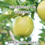 .. есть перевод ( маленький шар ) 9kg. пестициды нет химия удобрение Aomori префектура юг часть производство яблоко для бытового использования 46~60 шар 12 месяц сверху .~2 месяц последняя декада бесплатная доставка 