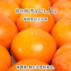 富有柿 秀品 2L 5kg 減農薬 無化学肥料 福岡県田主丸町産 柿 甘柿 14〜17玉 11月上旬〜1月中旬 送料無料