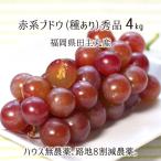  красный серия ..... дешево . Queen и т.п. превосходящий товар 4kg вид есть .. house нет пестициды . земля 8 сломан . пестициды нет химия удобрение культивирование 8~12. Fukuoka префектура рисовое поле . круг производство виноград 7 месяц последняя декада ~9 месяц средний . бесплатная доставка 