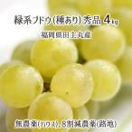  зеленый серия ..... мускат и т.п. превосходящий товар 4kg вид есть .. house нет пестициды . земля 8 сломан . пестициды нет химия удобрение культивирование 8~12. Fukuoka префектура рисовое поле . круг производство виноград 7 месяц последняя декада ~9 месяц средний . бесплатная доставка 