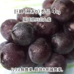 .. превосходящий товар 4kg вид есть .. house нет пестициды . земля 8 сломан . пестициды нет химия удобрение культивирование 8~12. Fukuoka префектура рисовое поле . круг производство виноград 7 месяц последняя декада ~9 месяц сверху . бесплатная доставка 