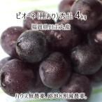 pio-ne превосходящий товар 4kg вид есть .. house нет пестициды . земля 8 сломан . пестициды нет химия удобрение культивирование 8~12. Fukuoka префектура рисовое поле . круг производство виноград 7 месяц последняя декада ~9 месяц сверху . бесплатная доставка 