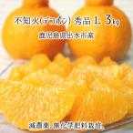 ショッピングデコポン 不知火(デコポン) 秀品 L 3kg 減農薬 無化学肥料 特別栽培 鹿児島県出水市産 9〜10玉 12月上旬〜2月下旬 送料無料