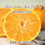 ショッピングデコポン 不知火(デコポン) 秀品 2L 3kg 減農薬 無化学肥料 特別栽培 鹿児島県出水市産 8〜9玉 12月上旬〜2月下旬 送料無料