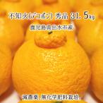 ショッピングデコポン 不知火(デコポン) 秀品 3L 5kg 減農薬 無化学肥料 特別栽培 鹿児島県出水市産 13〜15玉 12月上旬〜2月下旬 送料無料
