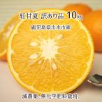 紅甘夏 訳あり サイズ混載 10kg 鹿児島県出水市産 減農薬 無化学肥料 特別栽培 あまなつ 2月下旬〜4月下旬 送料無料