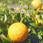 たんかん 訳あり品 10kg サイズ混合 鹿児島種子島産 タンカン 2月中旬〜3月中旬 柑橘 濃厚みかん 送料無料
