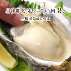  скала ..( сырой еда возможно ) M размер 8 шт примерно 2.3kg Shimane ... остров производство ( body количество 251~300g,. длина 12~15cm) скала устрица 5 месяц последняя декада ~6 месяц средний . бесплатная доставка 
