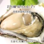 岩牡蠣(生食可) Lサイズ 7個 約2.3kg 