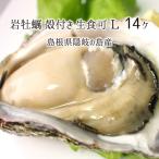  скала ..( сырой еда возможно ) L размер 14 шт примерно 4.5kg Shimane ... остров производство ( body количество 301~350g,. длина 14~18cm) скала устрица 5 месяц последняя декада ~6 месяц средний . бесплатная доставка 