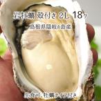 岩牡蠣(生食可) 2Lサイズ 18個 約7kg 
