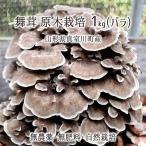 原木舞茸 1kg(バラ) 山形県真室川町産 無農薬 無肥料 自然栽培 収穫当日発送 生 マイタケ 9月下旬〜10月中旬 送料無料