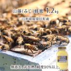 山藤蜂蜜(糖度80以上、純度90以上) 