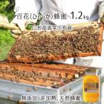 ショッピングお歳暮 2023 百花蜂蜜(糖度80以上) 無添加 非加熱 全原材料国産 天然 純粋蜂蜜 山形県真室川町産 2023年採蜜 1.2kg 送料無料