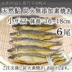 Yahoo! Yahoo!ショッピング(ヤフー ショッピング)天然鮎 炭火 素焼き 小サイズ 6尾 山形県真室川町産 （体長：16〜18cm、素焼き後重量：20〜40g） 簗漁 無添加 遡上鮎 送料無料