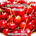  Sato . превосходящий товар L 350g специальный культивирование вишня Yamagata префектура восток корень город производство . пестициды нет химия удобрение 6 месяц средний .~6 месяц последняя декада утро .. этот день отправка бесплатная доставка 