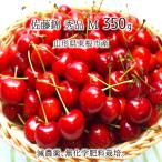  Sato . превосходящий товар M 350g специальный культивирование вишня Yamagata префектура восток корень город производство . пестициды нет химия удобрение 6 месяц средний .~6 месяц последняя декада утро .. этот день отправка бесплатная доставка 