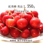 . превосходящий . превосходящий товар L 350g специальный культивирование вишня Yamagata префектура восток корень город производство . пестициды нет химия удобрение 6 месяц последняя декада ~7 месяц сверху . утро .. этот день отправка бесплатная доставка 