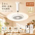Google*Alexa звук управление потолочный вентилятор свет DC motor тихий звук потолочный светильник с вентилятором LED с вентилятором потолочный светильник living освещение тонкий с дистанционным пультом 