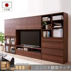 ユニット壁面ラックＦ Ｅ（板扉６０ｃｍ）  ナチュラル ブラウン 茶 壁面収納 扉付ラック 隠せる 多サイズ 送料無料！【直送】