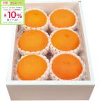 お歳暮 愛媛県産 紅まどんな（秀品、6〜9個）