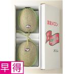  День отца . выгода Kumamoto префектура производство . после зеленый дыня 